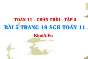 Bài 5 trang 19 Toán 11 Tập 2 Chân trời sáng tạo